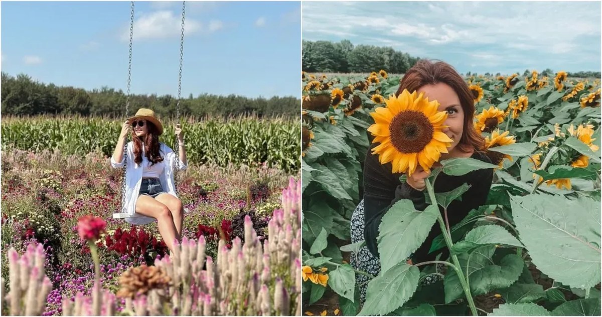 Pick your own bouquets at a flower farm an hour from Montreal
