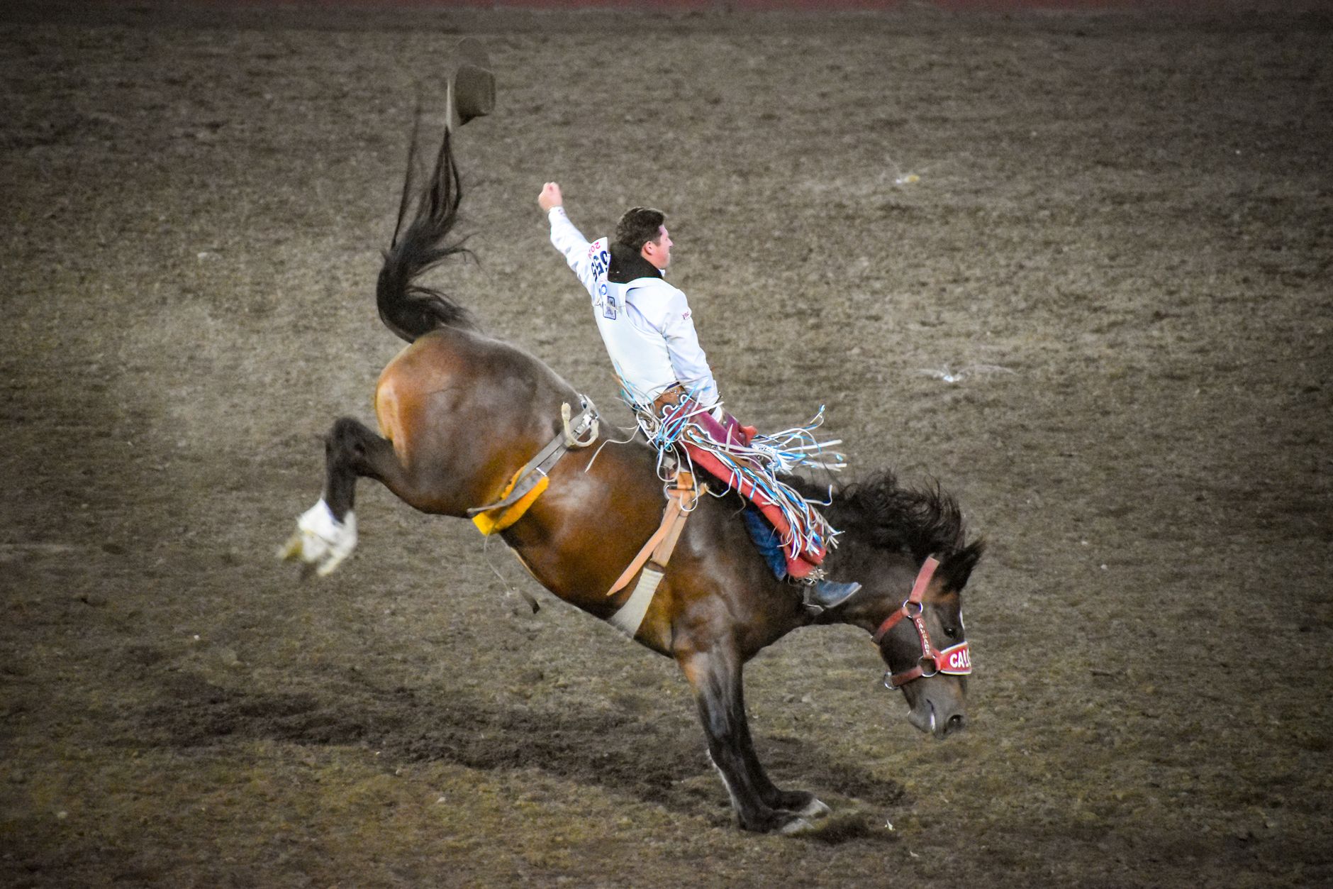 Bareback rider Richmond Champion retires a winner with dominant 90-point final ride at Calgary Stampede