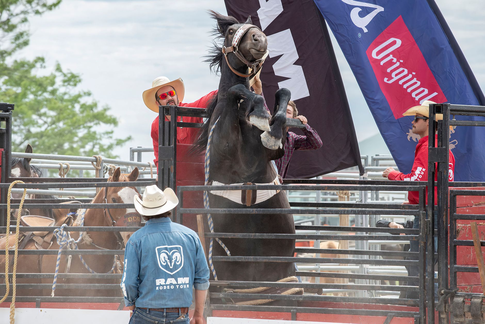 Calgary Stampede rodeo draws newcomers claiming Monday victories