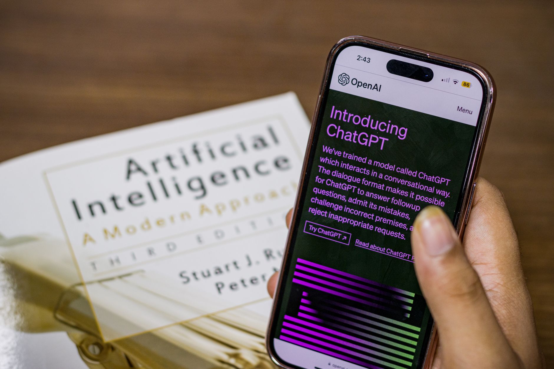 New Brunswick mother sues OpenAI over ChatGPT's role in daughter's death