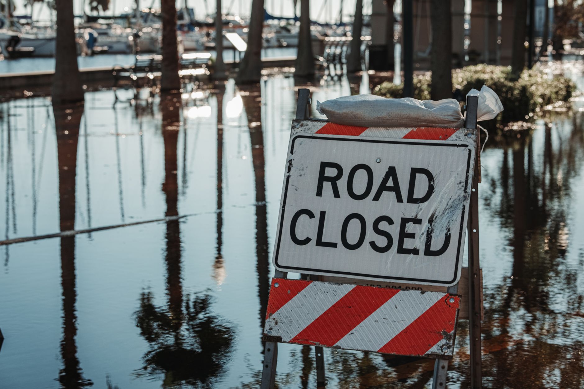 Powerful storm floods Edmonton roads, closes facilities and damages trees