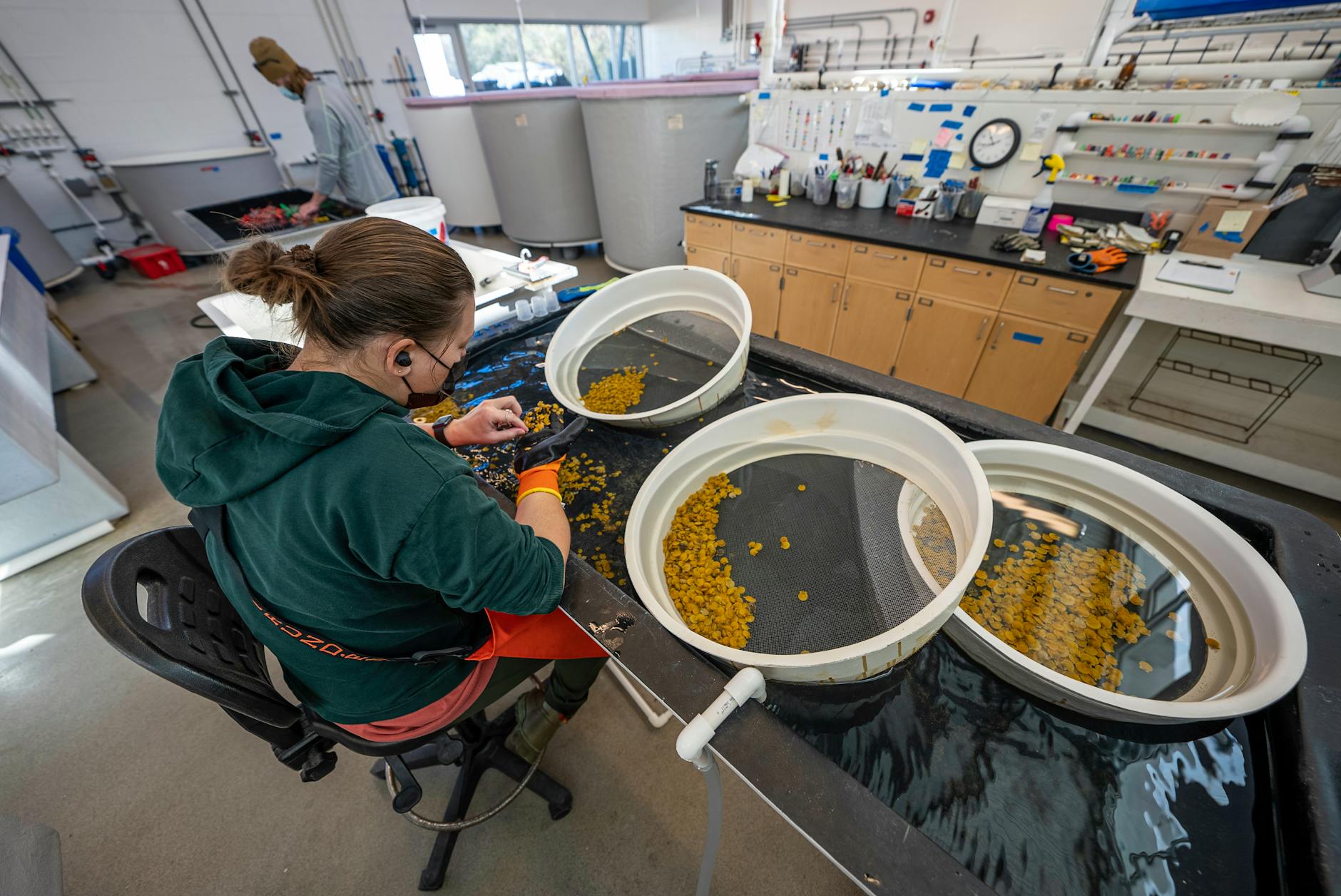 CHUM research unlocks path to stronger breast cancer virus therapy