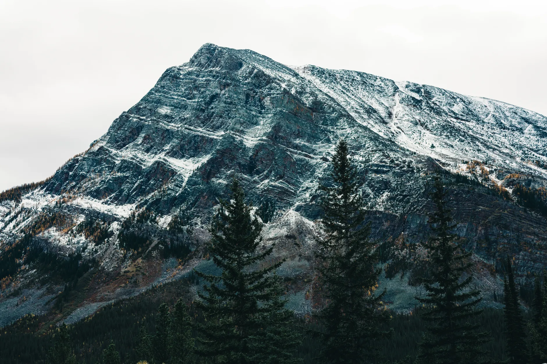 Quebec's fall forecast suggests first snow could arrive by mid-October