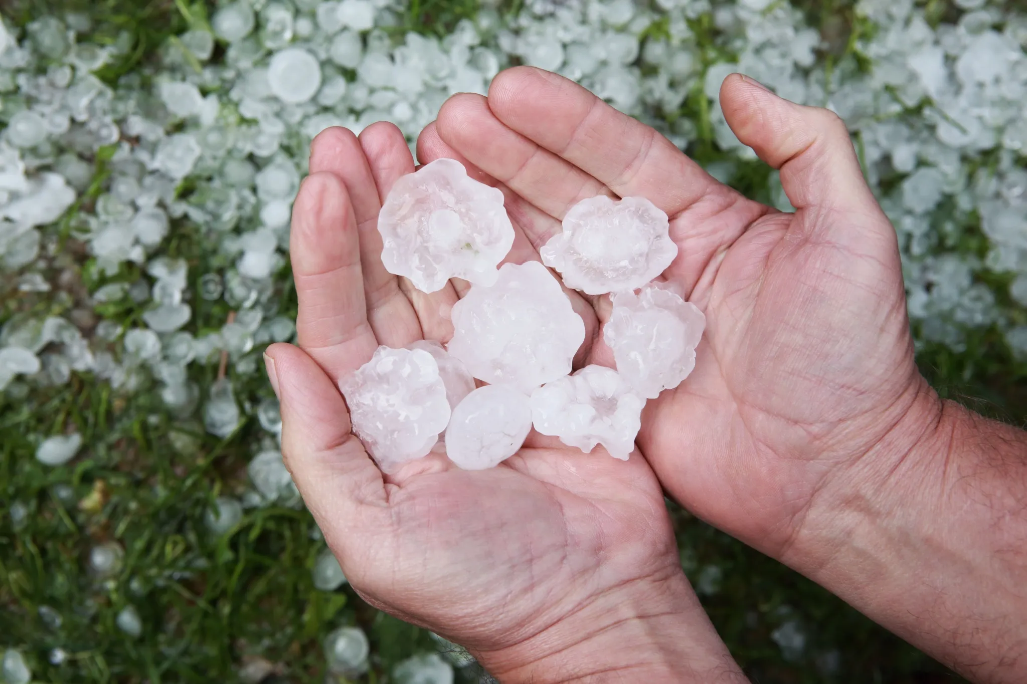 Severe thunderstorms could bring hail, heavy winds to Alberta today