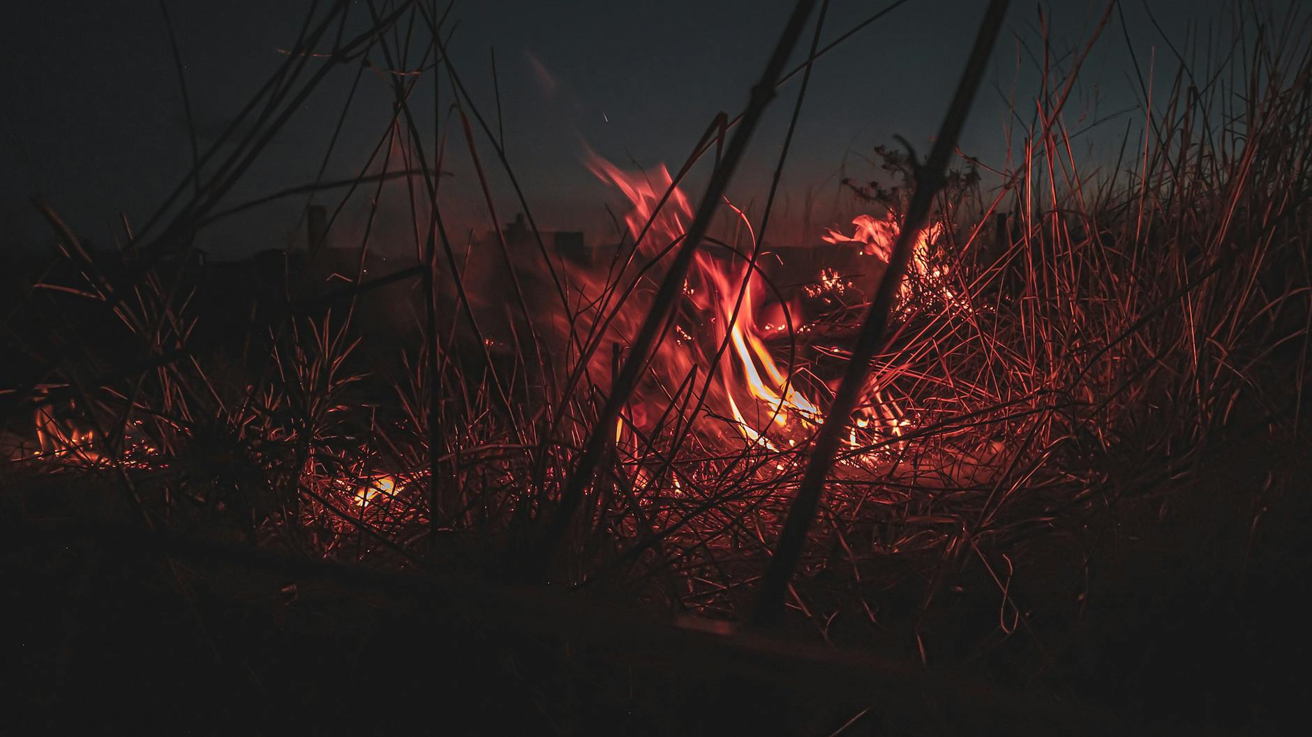 Hot, dry summer could spark major wildfire season across Canada