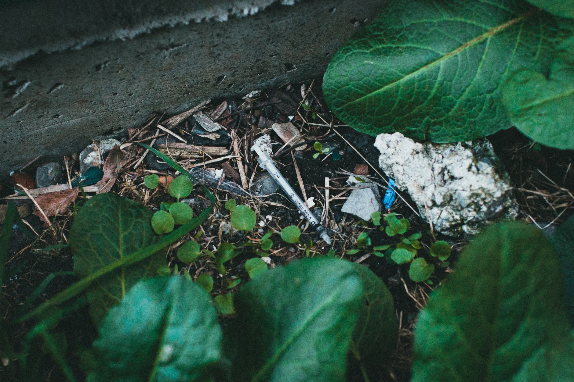 Vancouver's drug toxicity deaths hit lowest count since February 2020