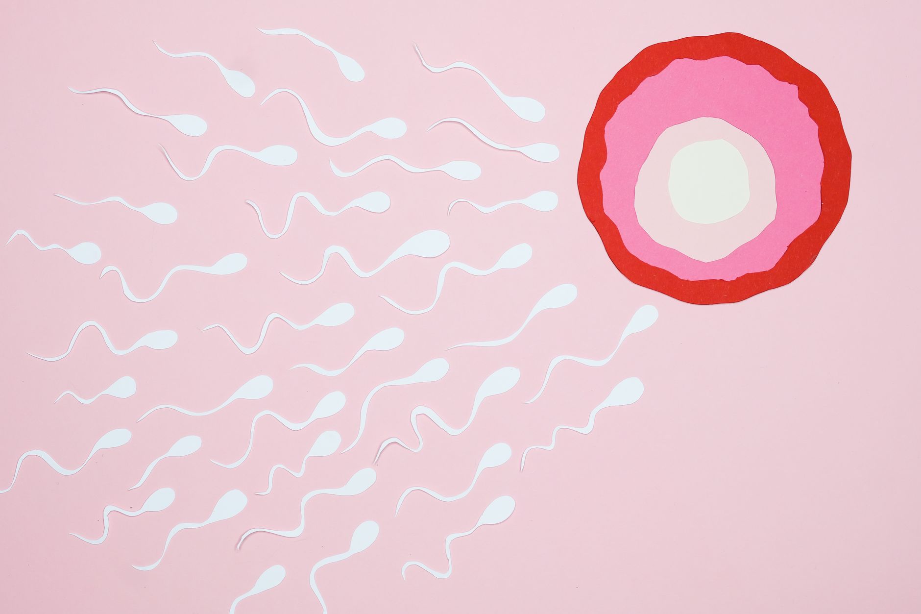 Foreign service officers denied fertility treatment coverage file grievance