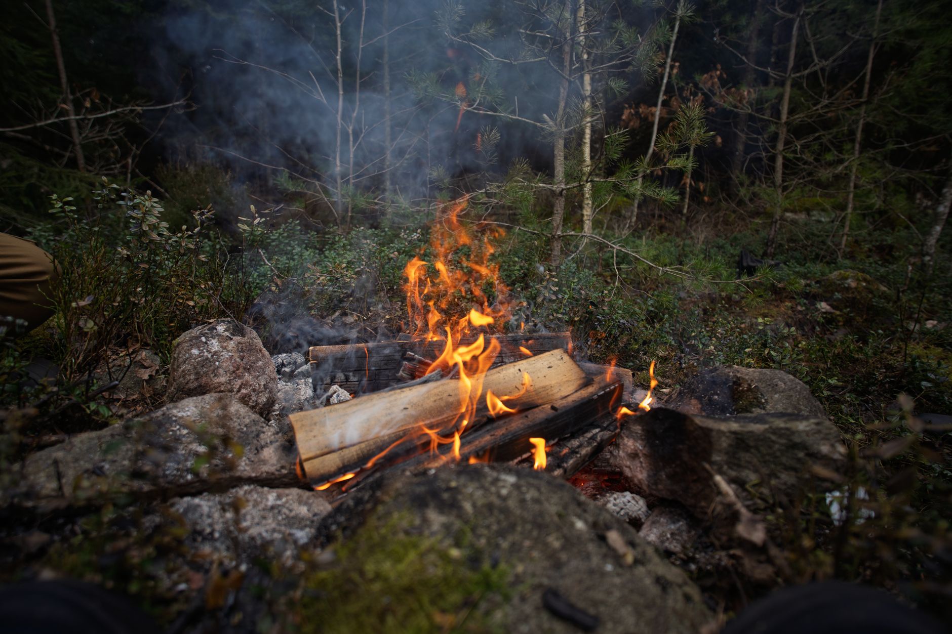 Quebec lifts ban on open fires in forests as wildfire season peaks