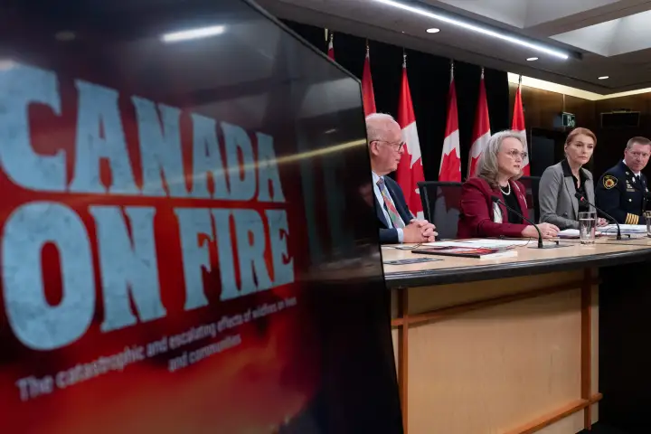 Senate calls for national wildfire coordination centre
