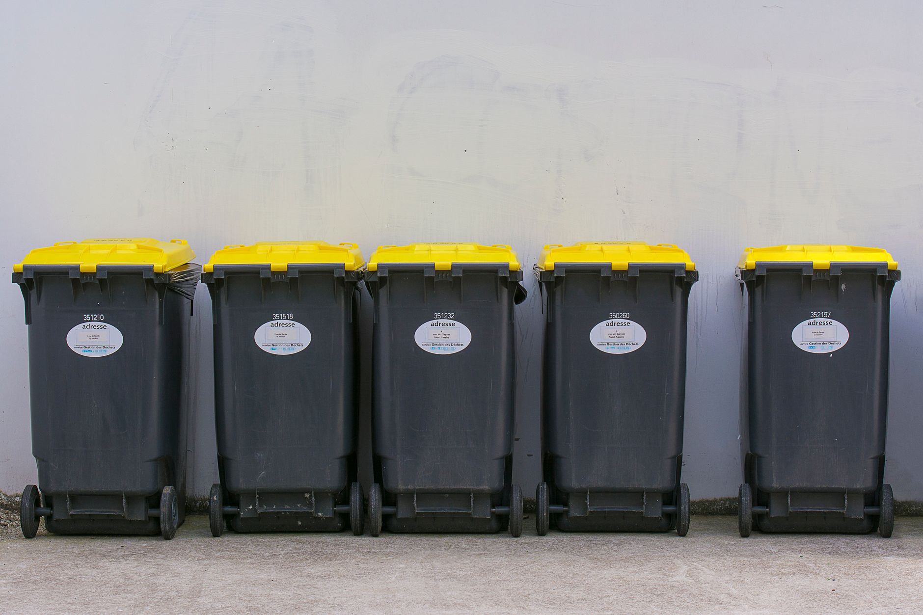 Storm waste disposal options available this weekend for July 1 flood-affected residents