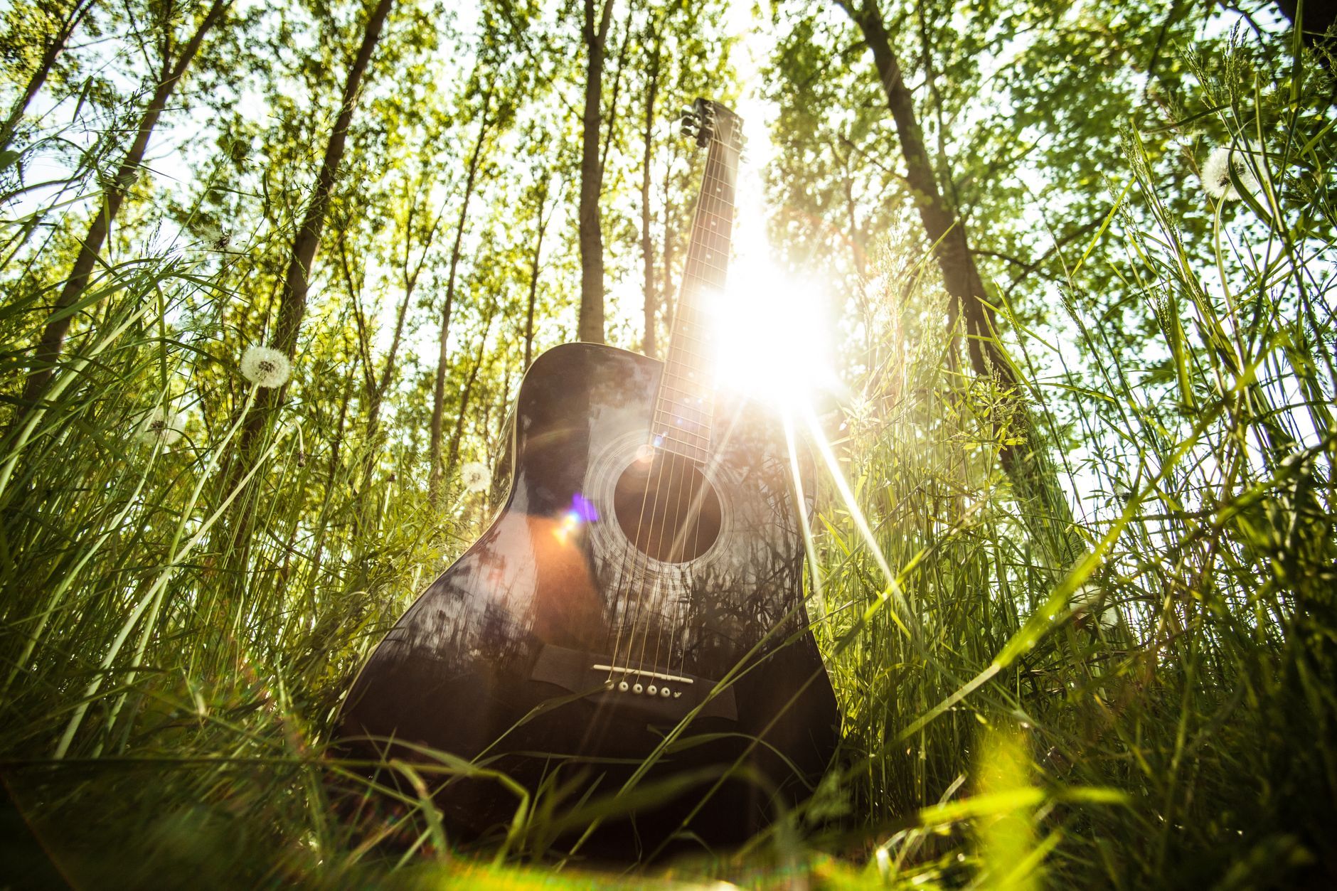 Surrey's Sounds of Summer brings eight free concerts in July and August