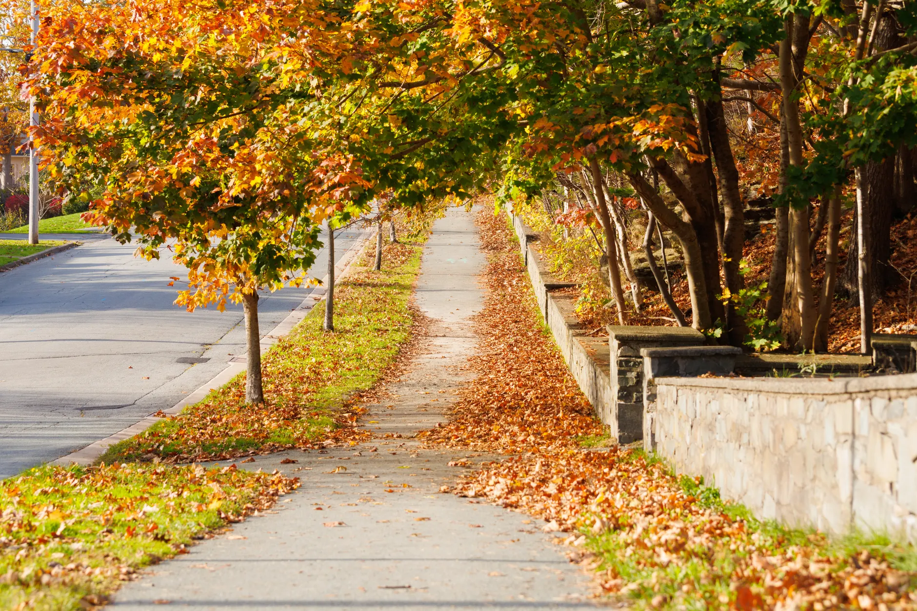 Climate expert: Toronto must redesign neighborhoods to handle extreme heat