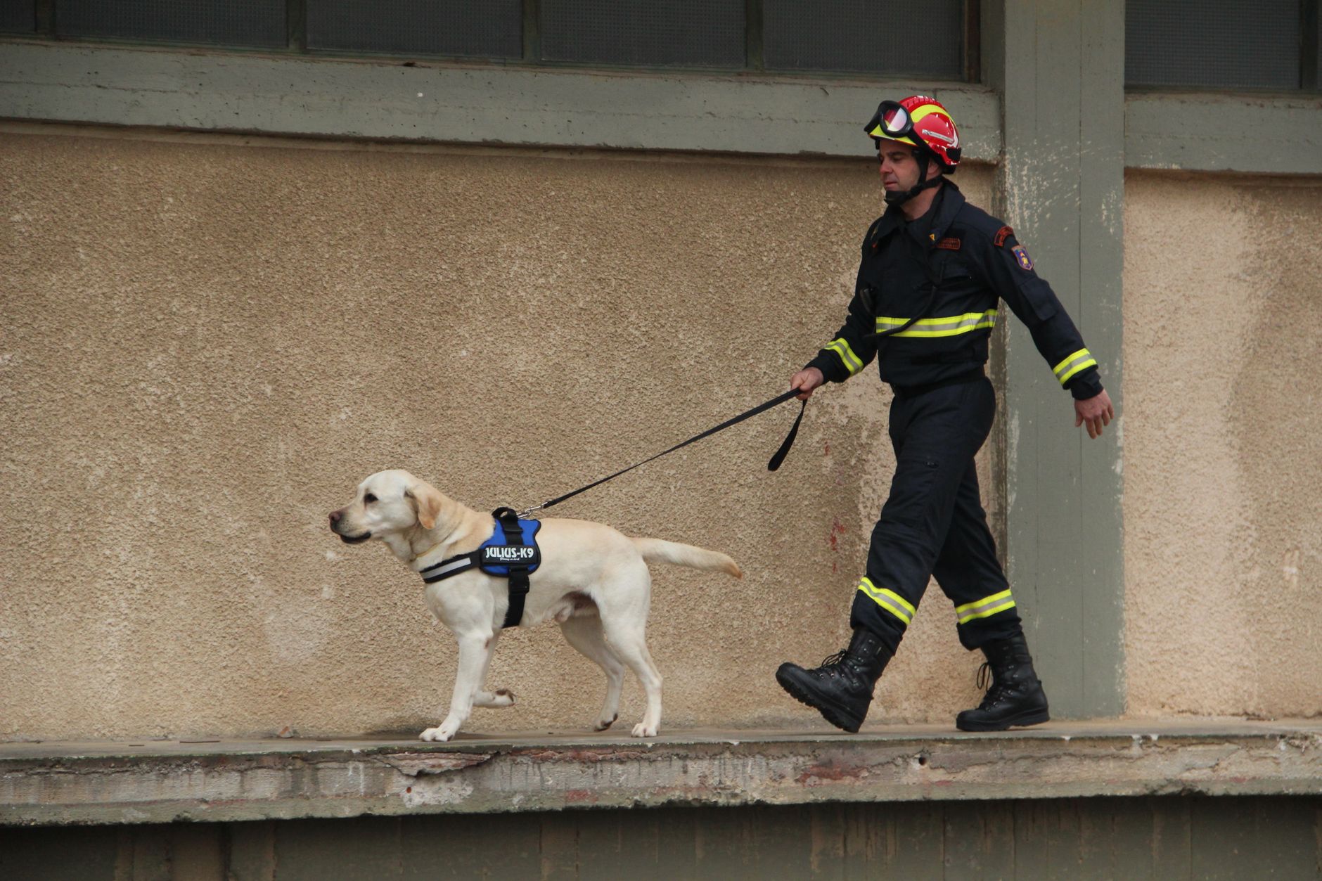 Youth charged after fire kills 3 dogs in Barrhaven home