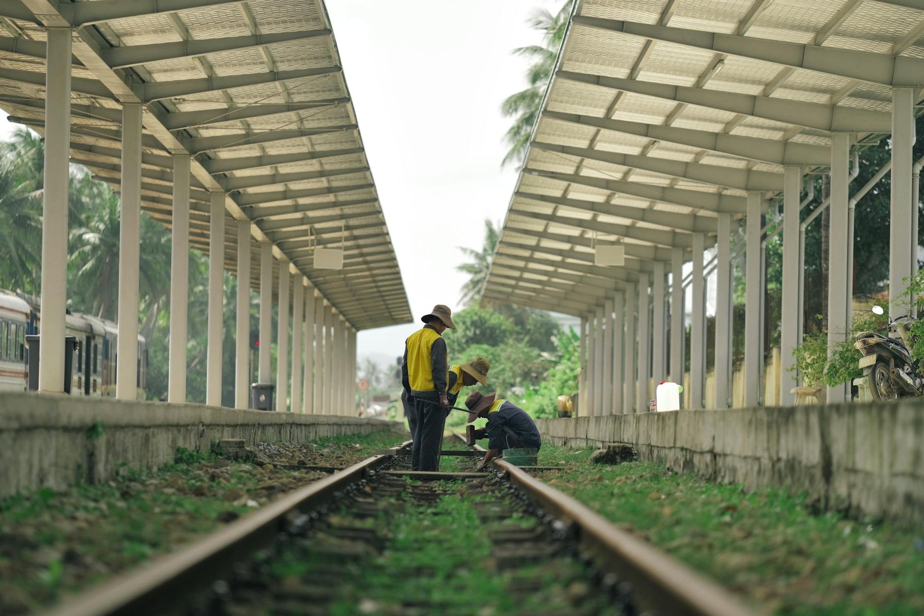 City fast-tracks $2.4M repair push for tree-damaged sidewalks