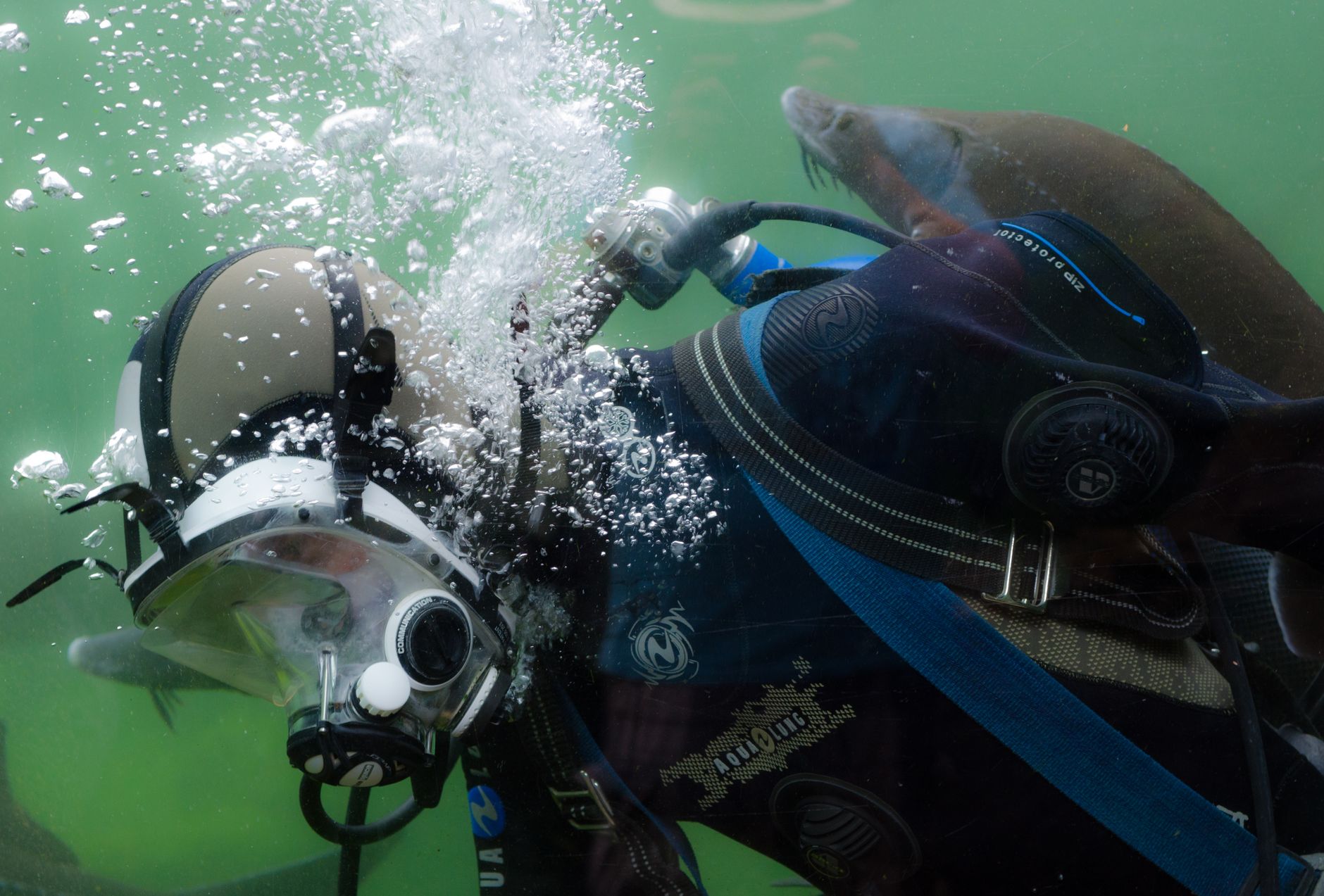 Second scuba diver dies off Whytecliff Park in West Vancouver this year