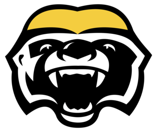 Canadian basketball in 'golden age' as Brampton Honey Badgers attract global investment