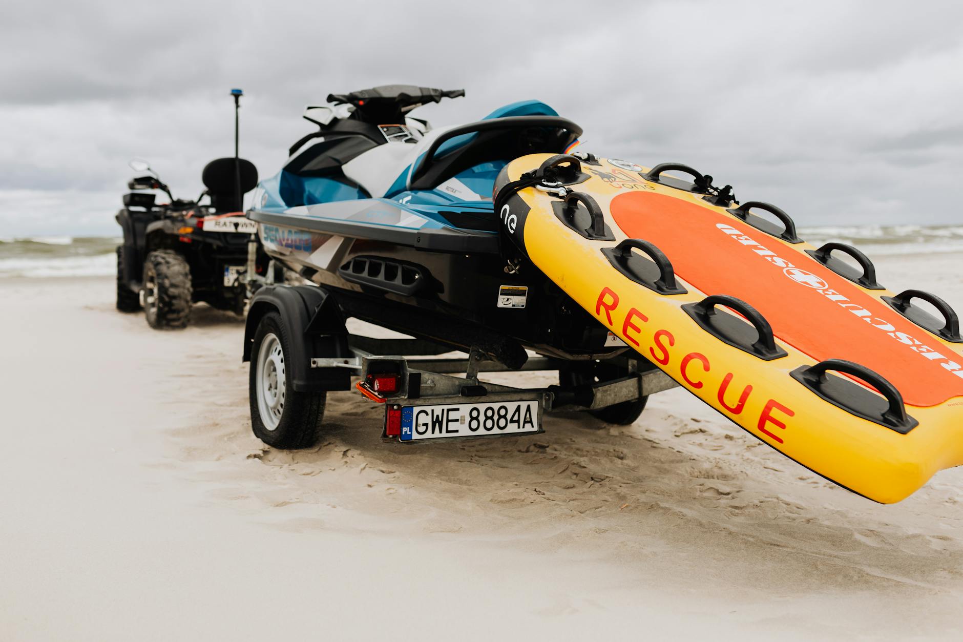 Park board explores jet ski ban after whale strike