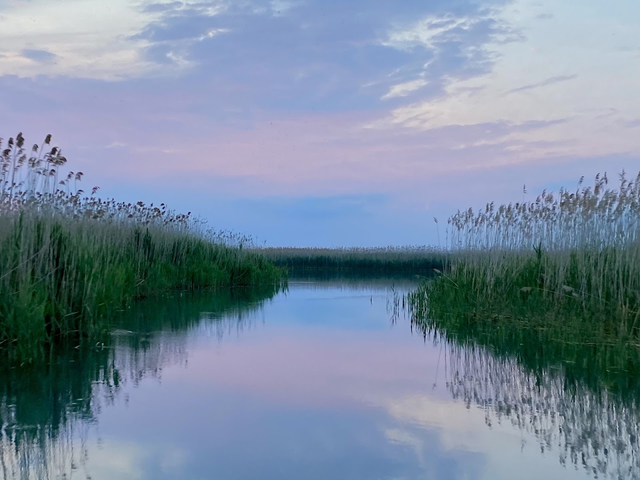 Chenail Ecarté: Ontario's Hidden Tropical River