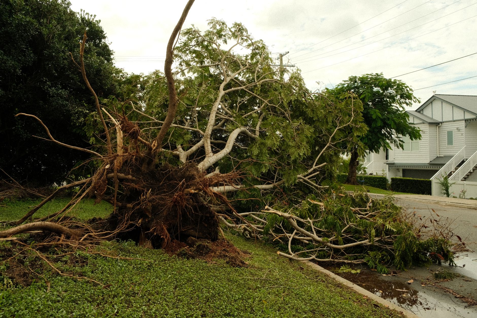 Ottawa braces for extreme heat as storm cleanup continues after record rainfall