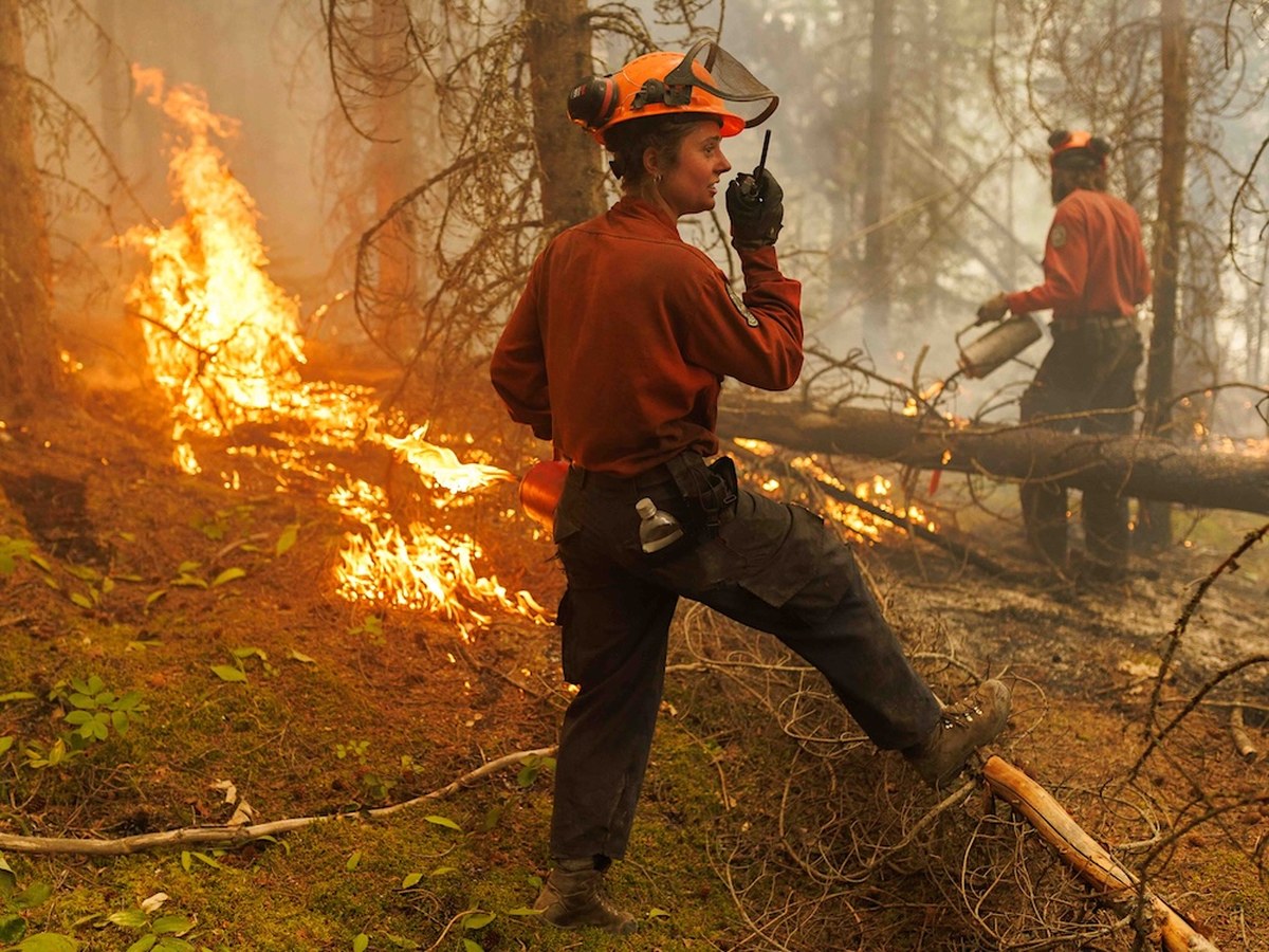 Jesse Winter on fighting fires and the cost of doing it