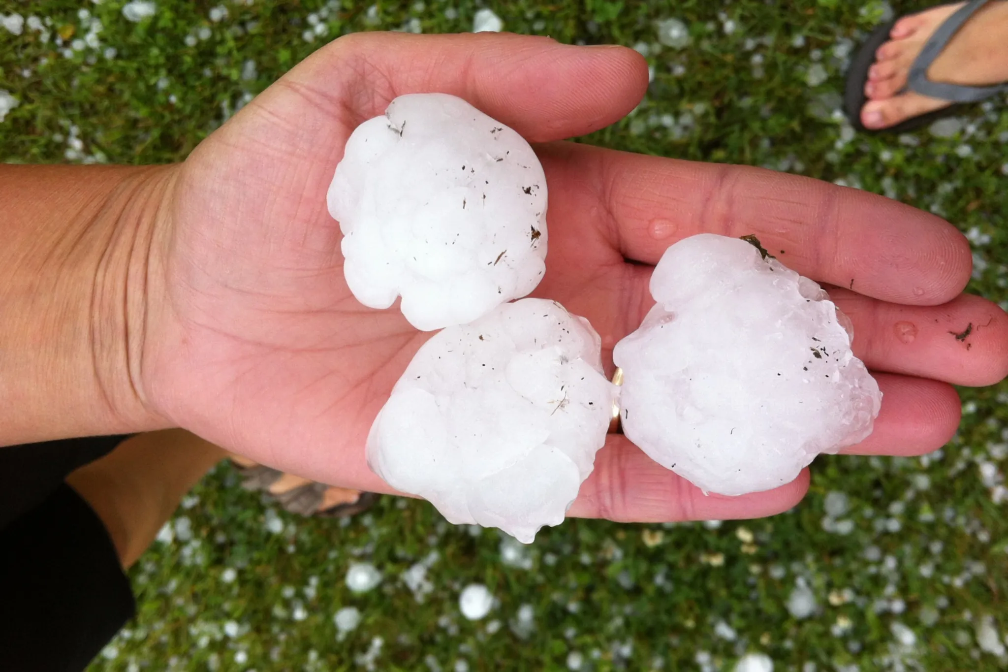 Severe thunderstorms with hail and tornado risk hit Alberta today