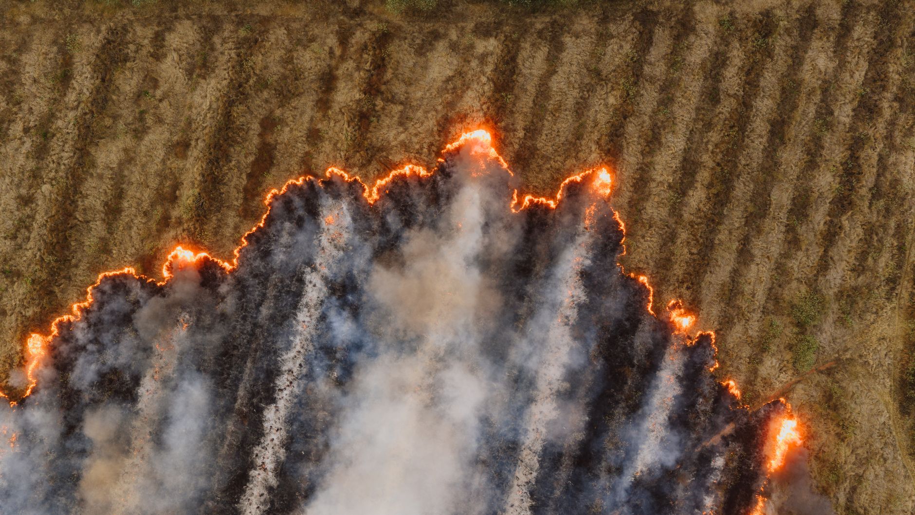 Kelowna wildfire documentary earns four Leo Award nominations