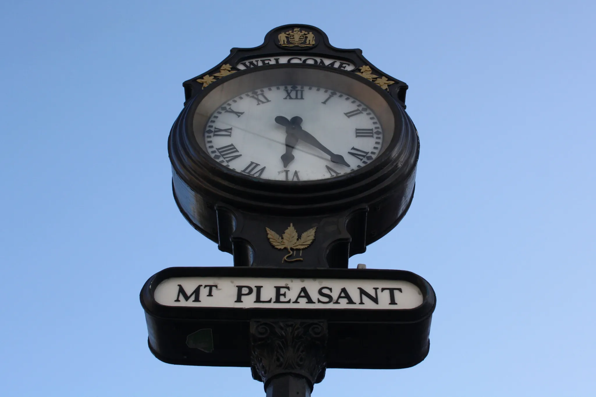 Mount Pleasant assault suspect arrested after unprovoked restaurant attack