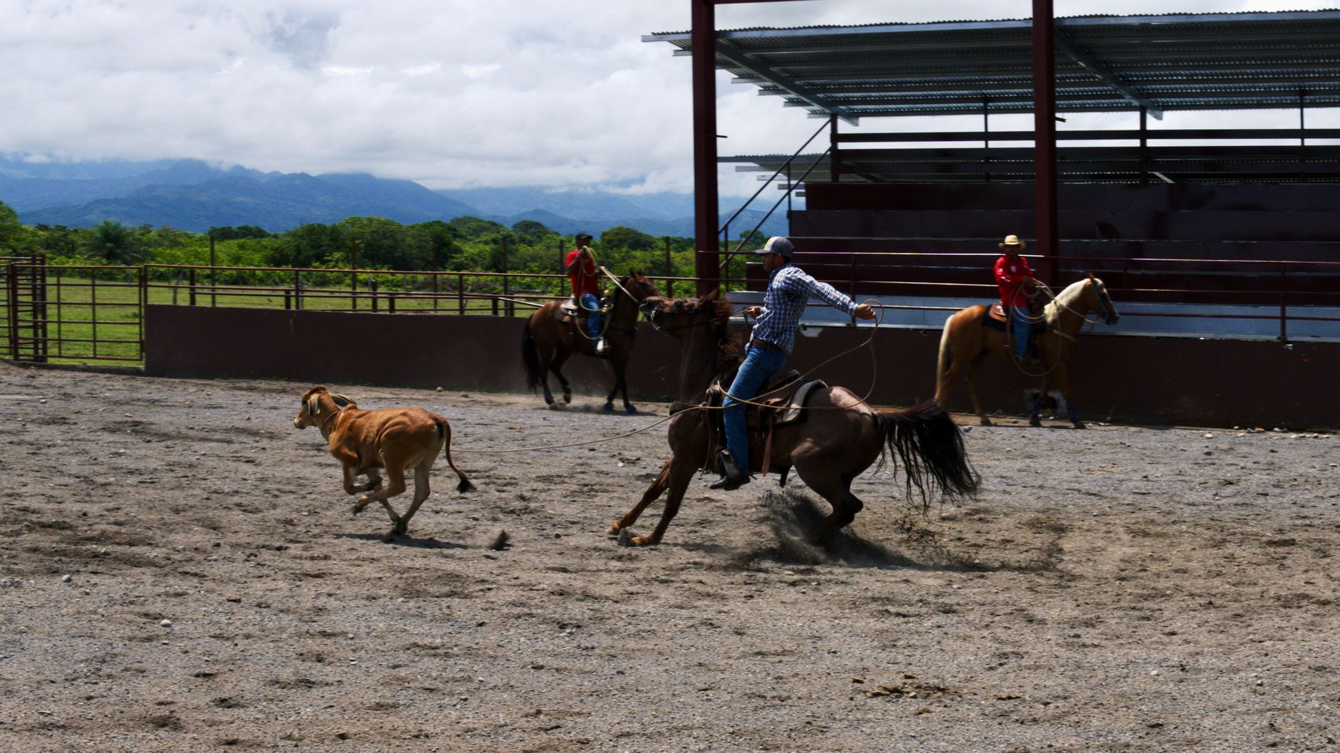 Steer wrestler Clay Guthrie chases Calgary Stampede win in his rodeo debut