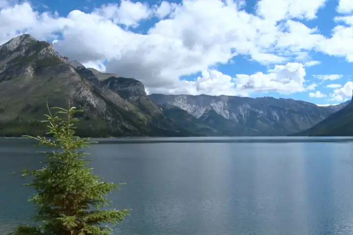 Large Area at Banff Closed After Bear Damages Campsites
