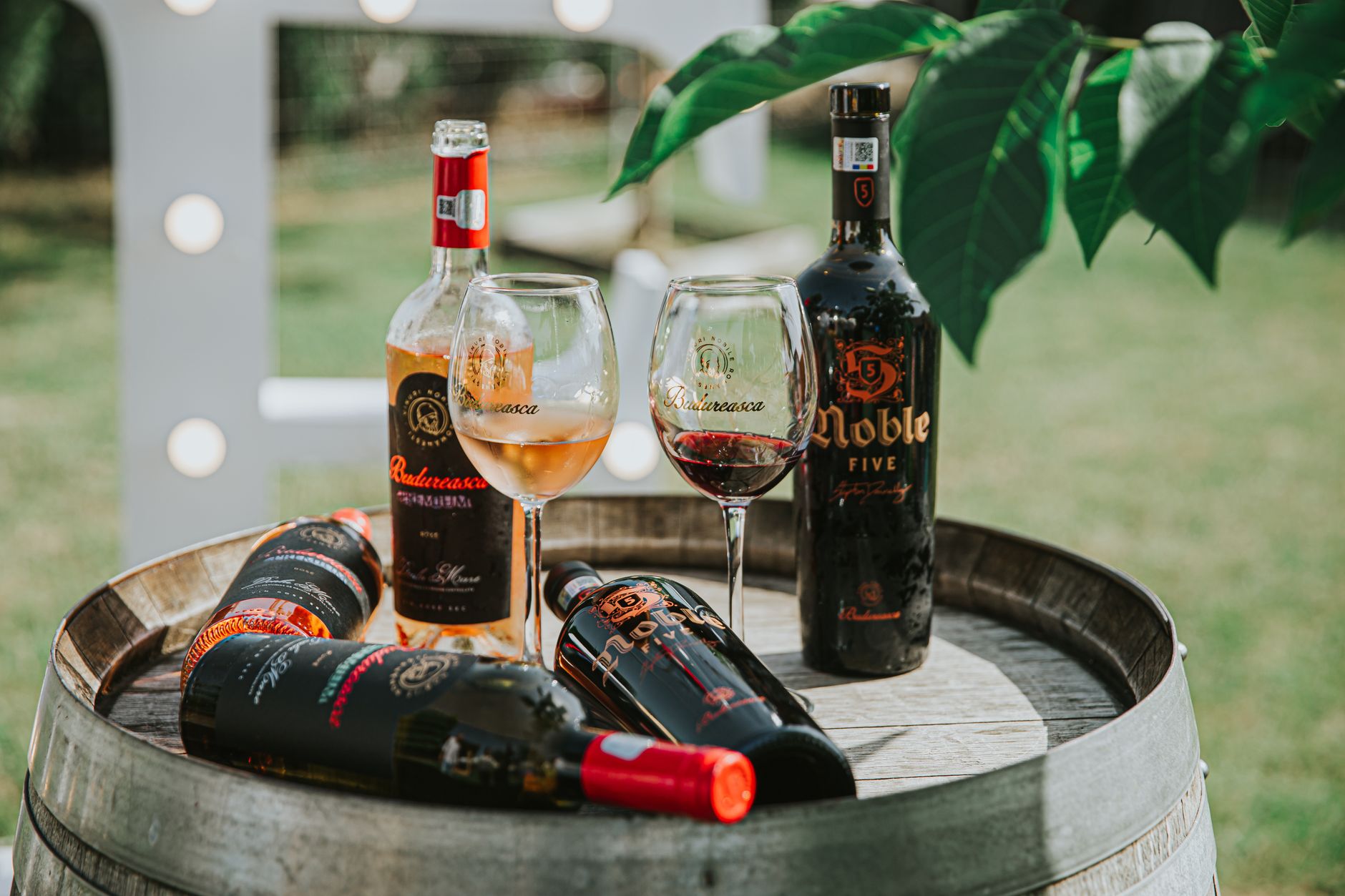 B.C. wine region celebrates two decades of world-class Bordeaux reds