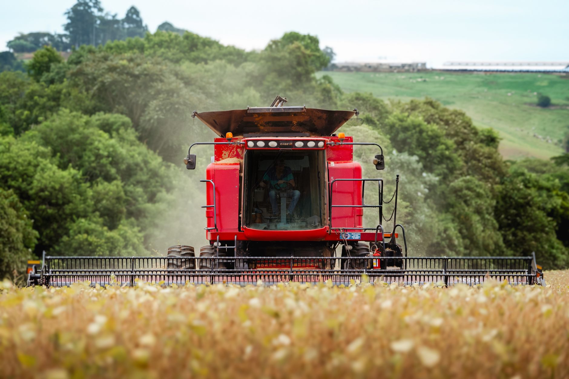 Ontario opens nominations for 2026 Excellence in Agriculture Awards across 10 categories