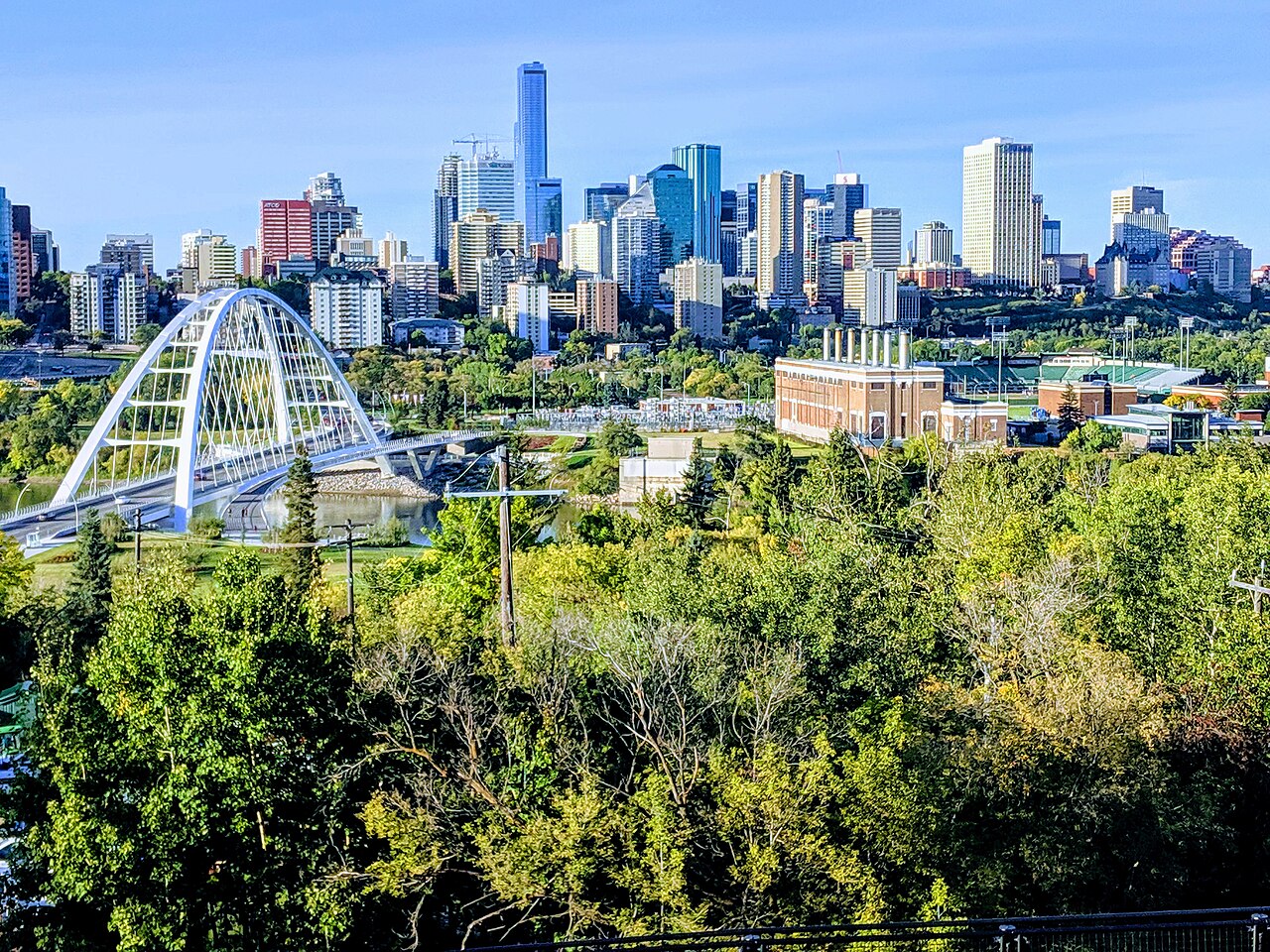 Downtown Edmonton's abandoned construction pit poses safety risks as water, overgrowth worsen