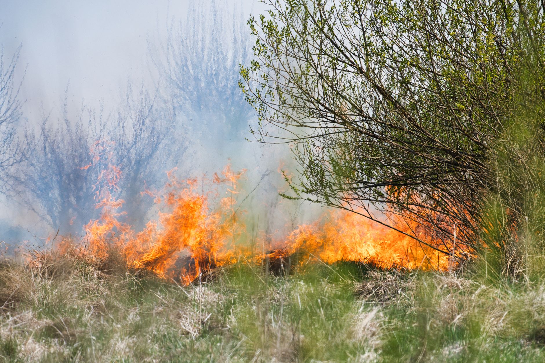 Wildfire evacuation orders issued for Pear Lake region near Clinton, B.C.