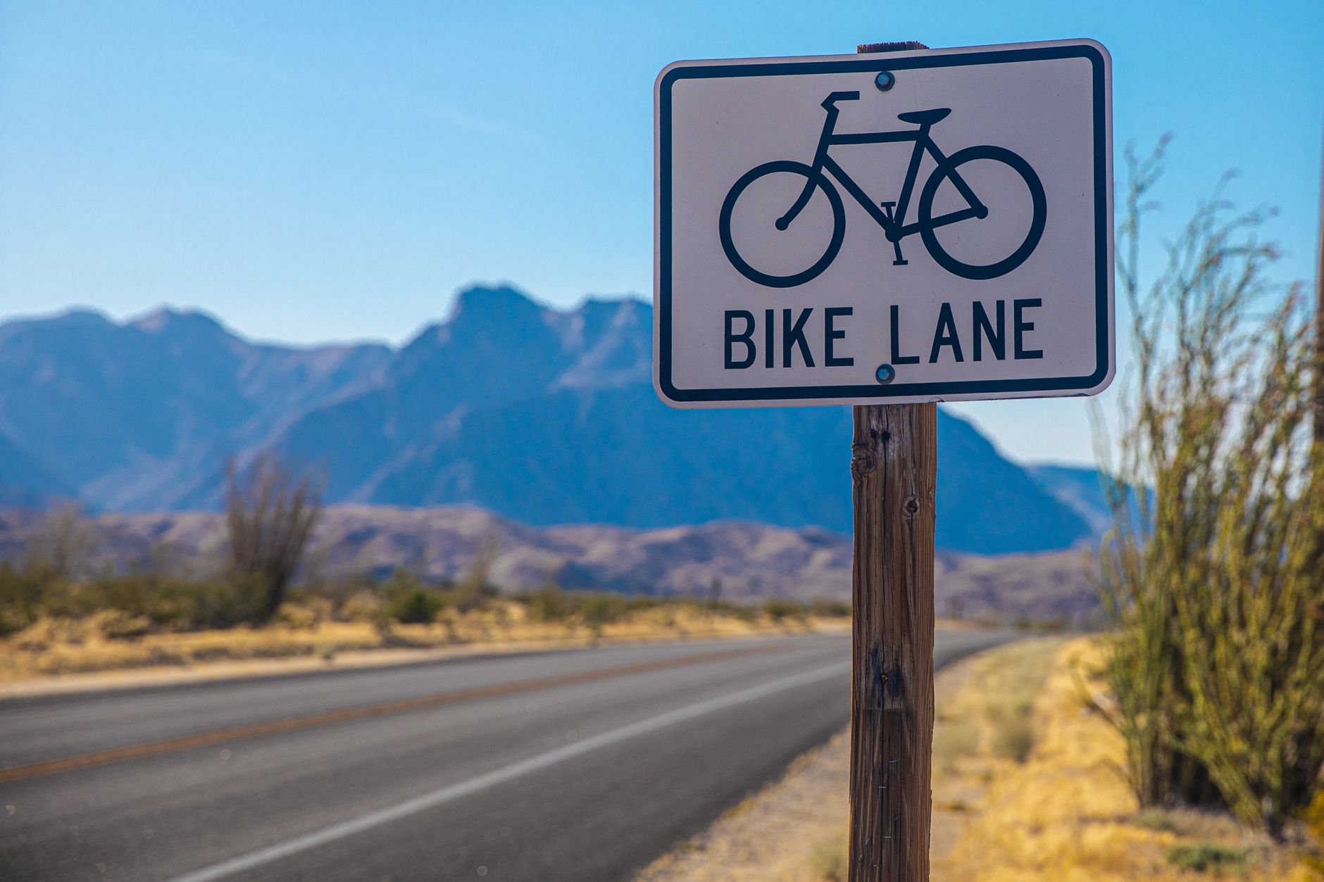 Alberta government opens bike lane complaint portal amid removal talks