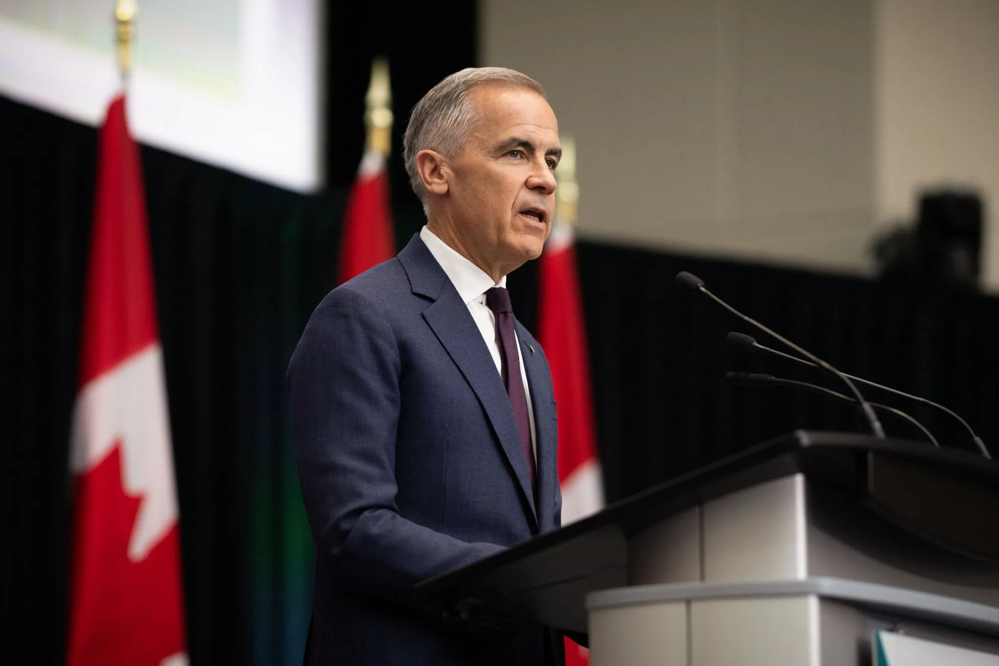 Carney's AI-for-all plan draws swift backlash from Canadians