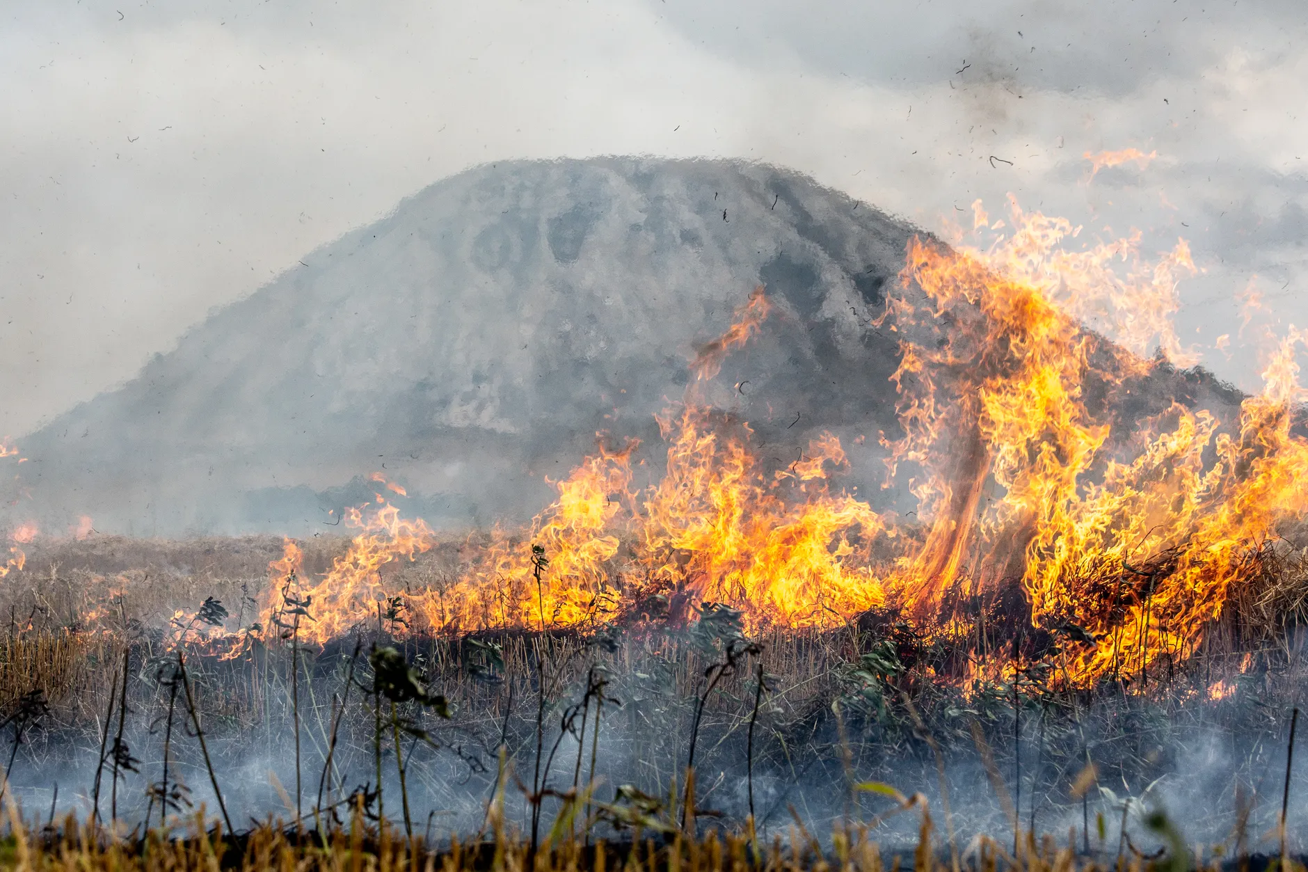 Jesse Winter on fighting fires and the cost of doing it