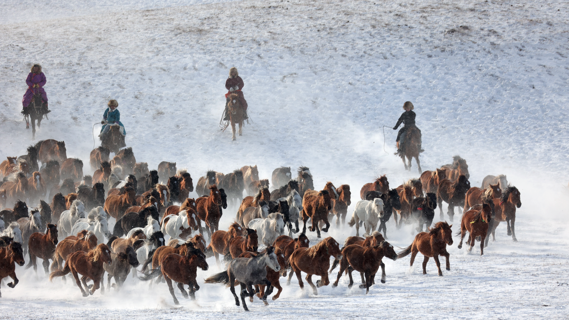 Is the Calgary Stampede becoming too expensive?