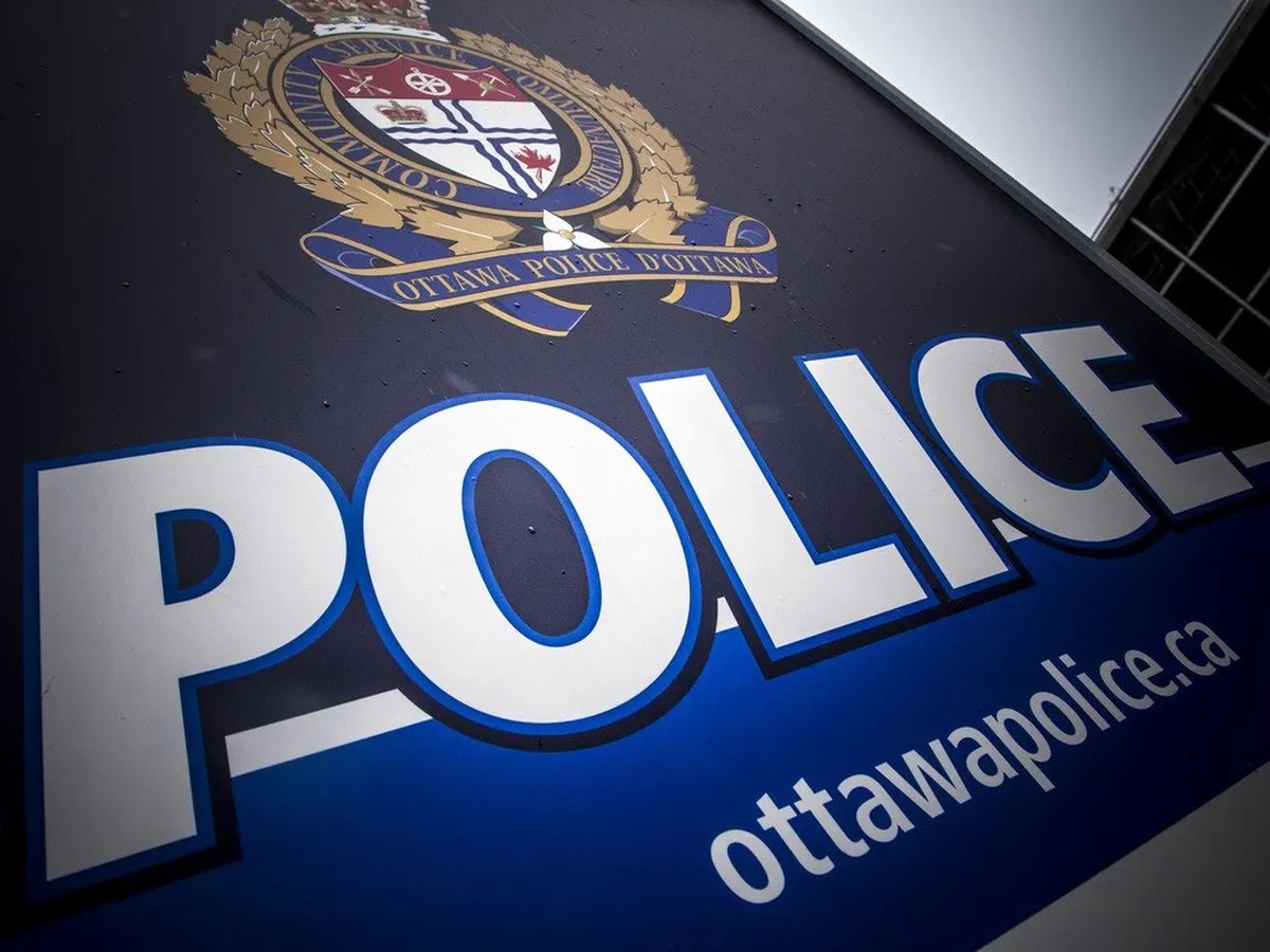 Police arrest 11 in undercover operation targeting child exploitation