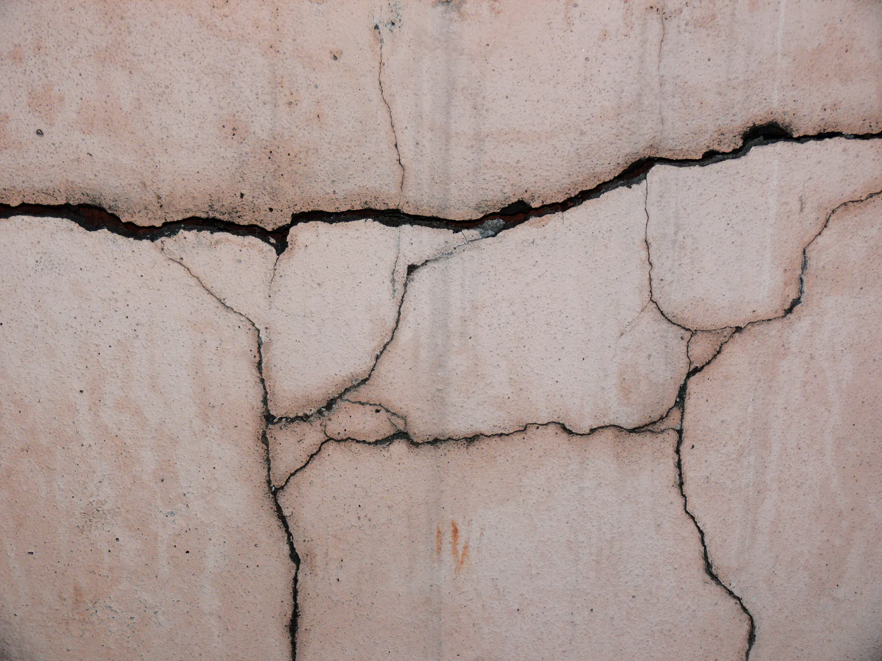 Woman Fighting City Hall Over Tree-Root Foundation Damage