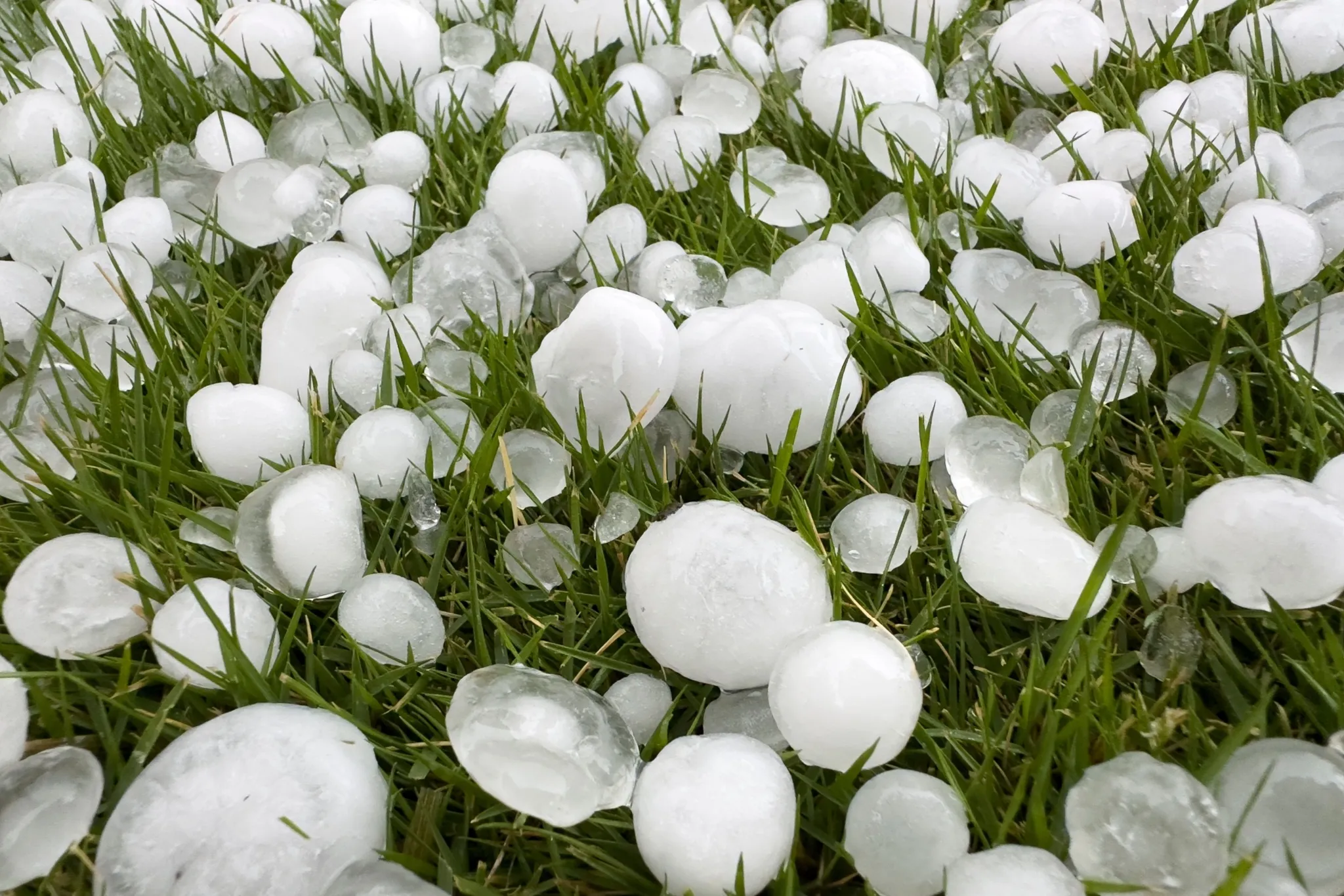 Severe thunderstorms with hail risk sweep Alberta today