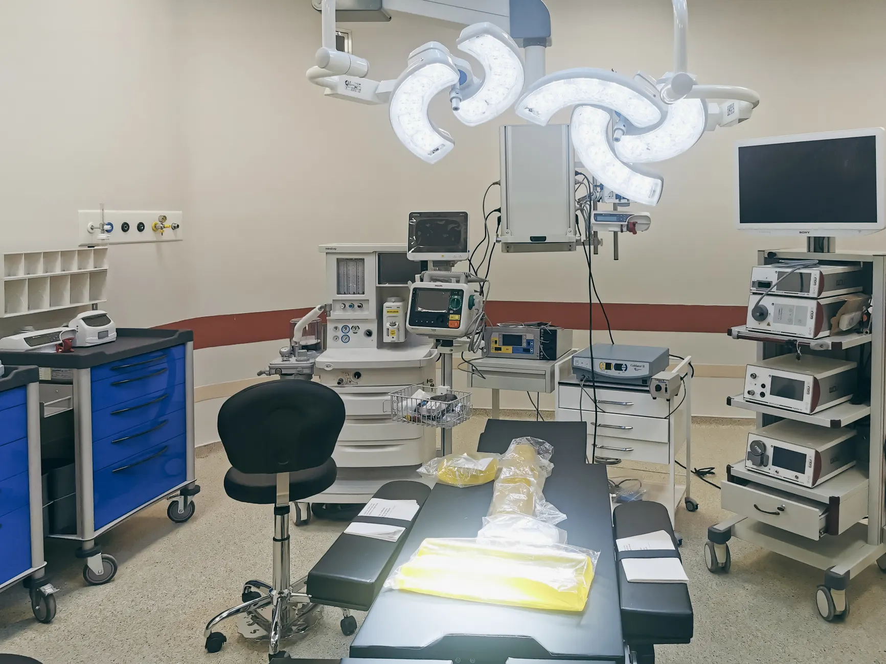 Edmonton psychologist founded trauma centre after nearly fatal birth experience in 2021