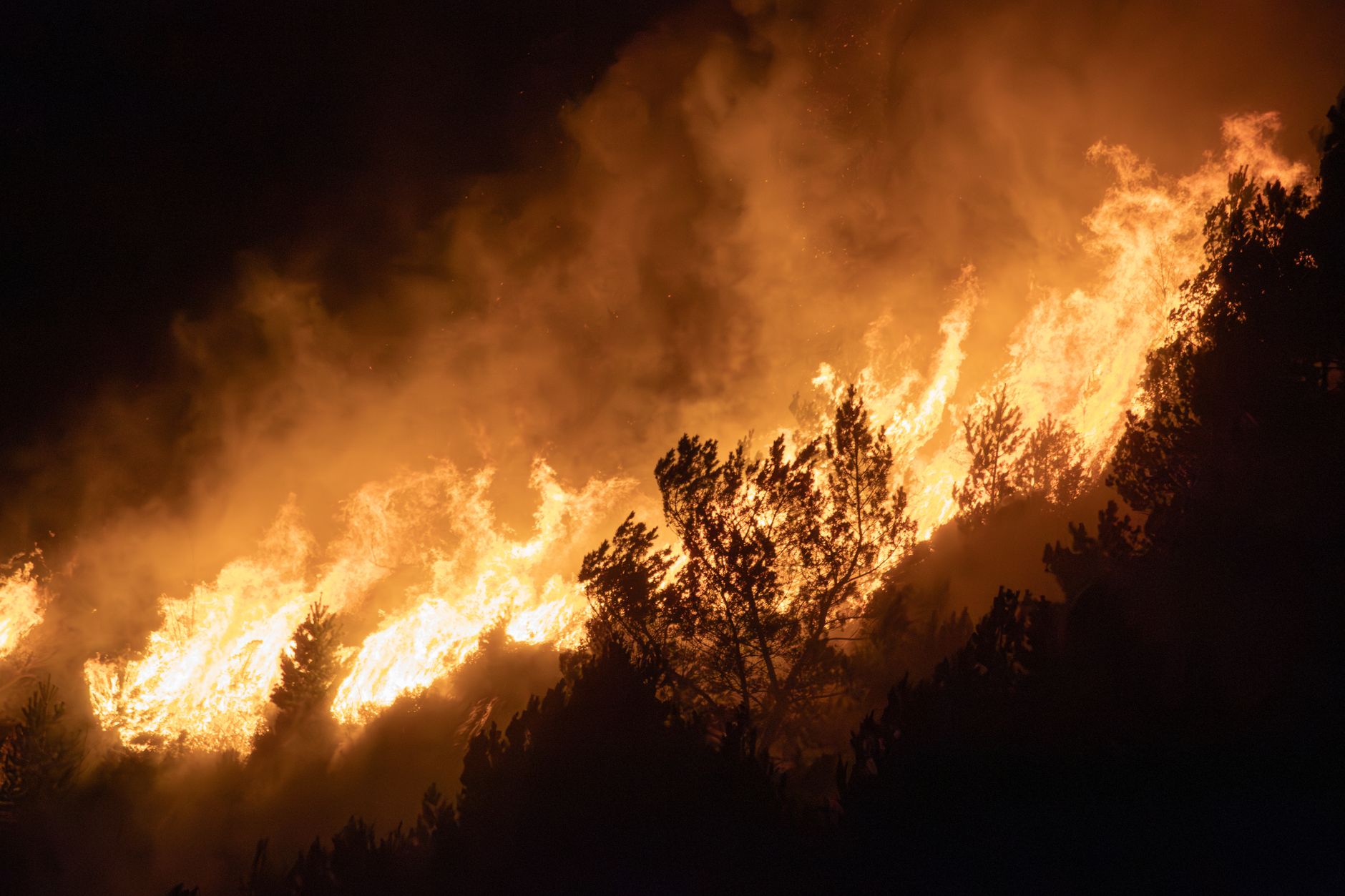 Over 160 active wildfires rage across Quebec as U.S. and French firefighters arrive