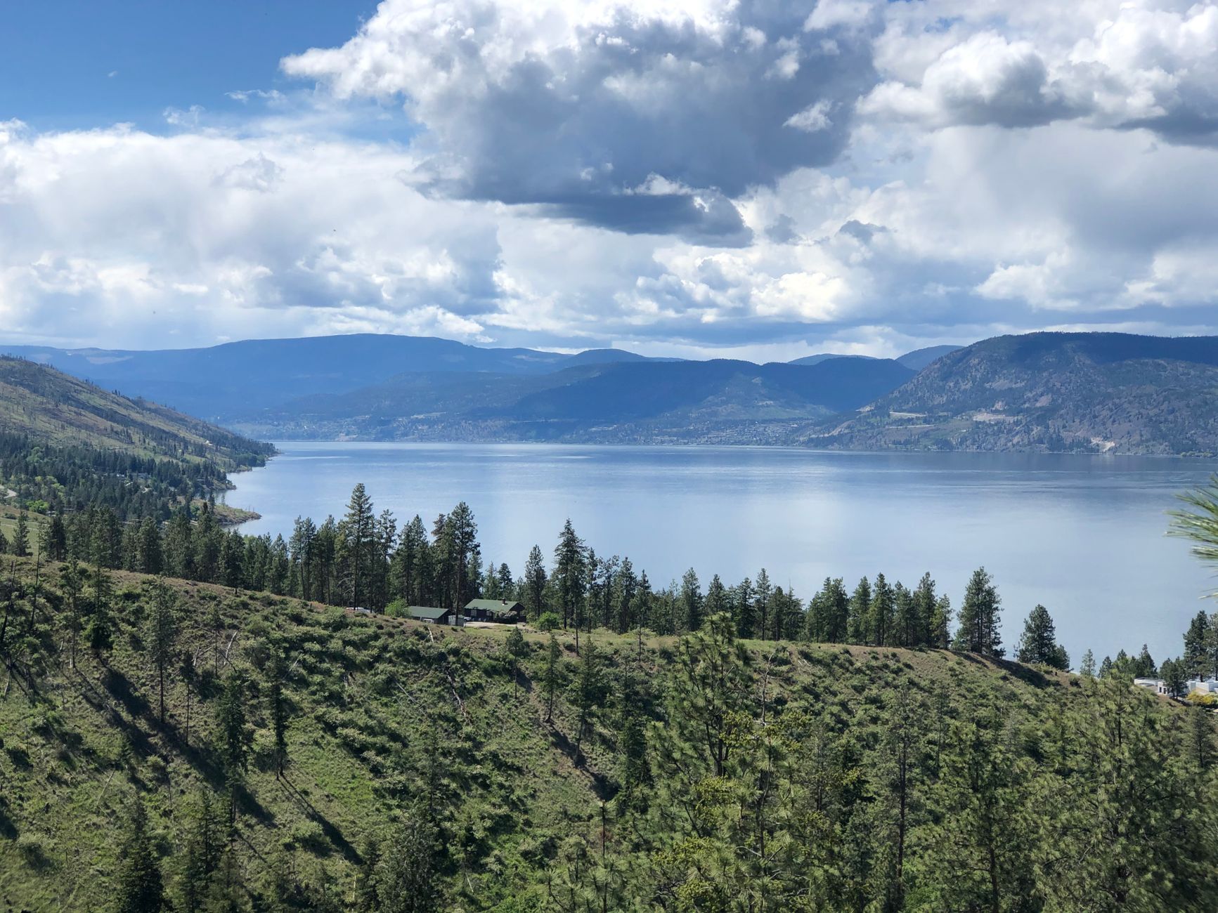 Syilx Okanagan Nation urges Ottawa to protect endangered Southern Mountain caribou