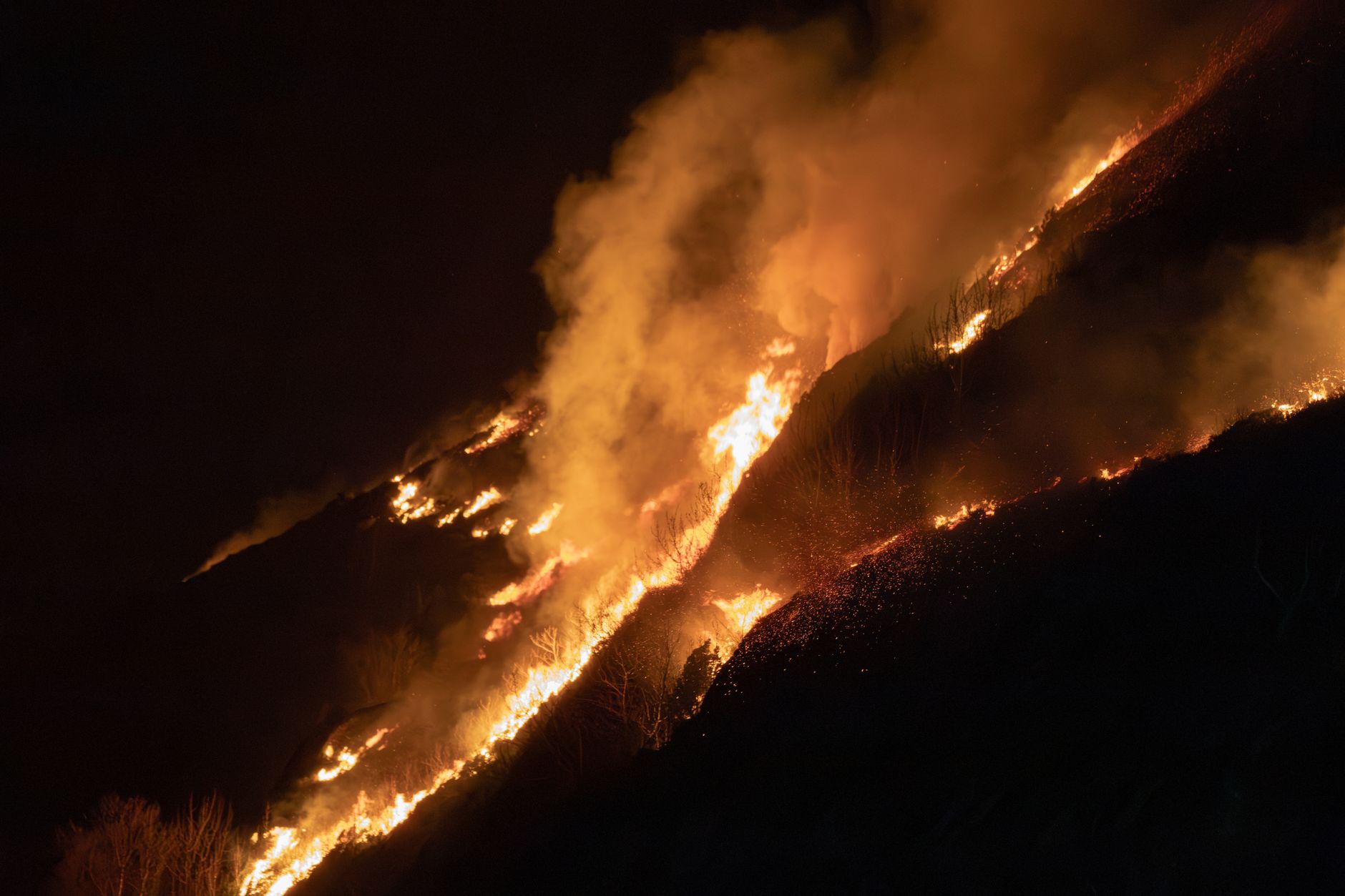 Saw Creek wildfire near Lytton now held after week-long battle