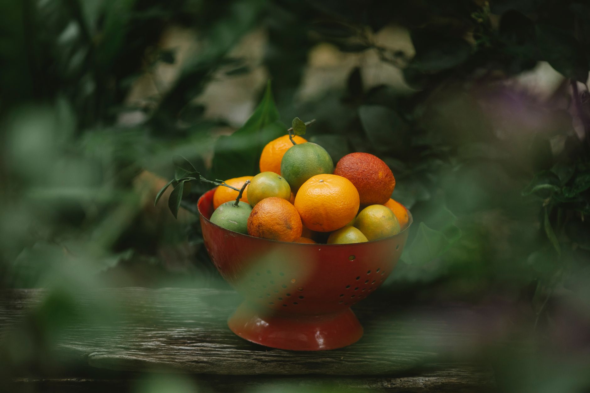 Summer cocktails at Clementine: tropical, balanced, built to refresh