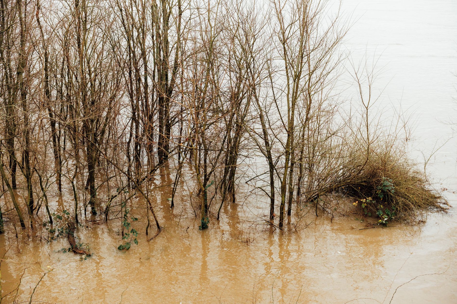 Ottawa flooded as Canada Day storm dumps 111mm of rain in hours