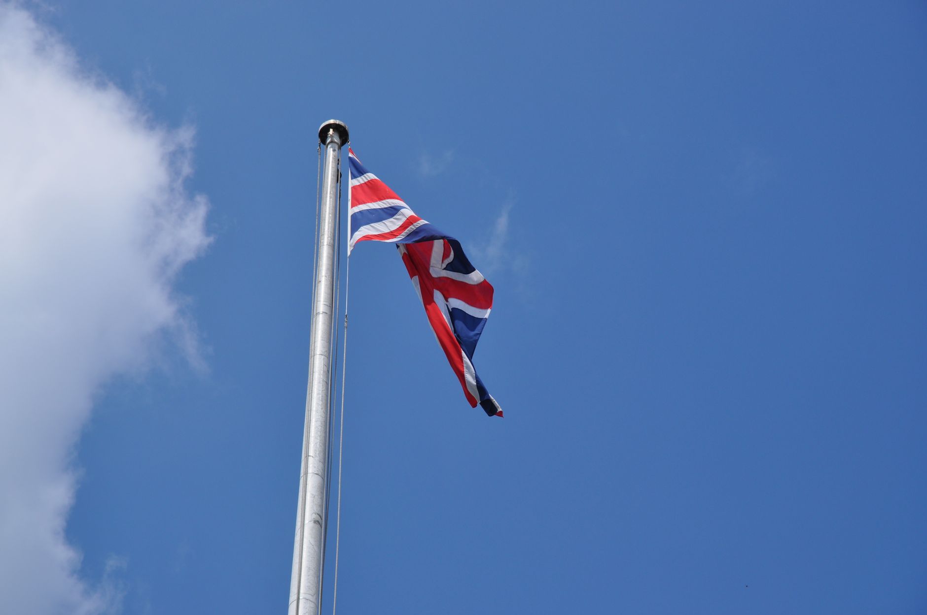 Union files grievance with Sobeys over Alberta flag displays in stores
