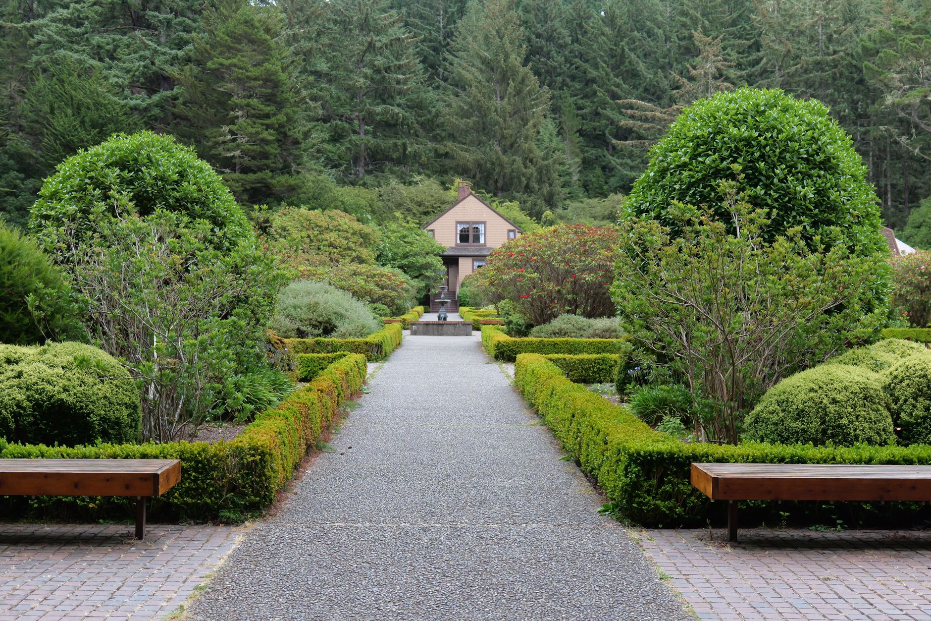 West Coast gardeners are ditching manicured lawns for wild, native landscapes