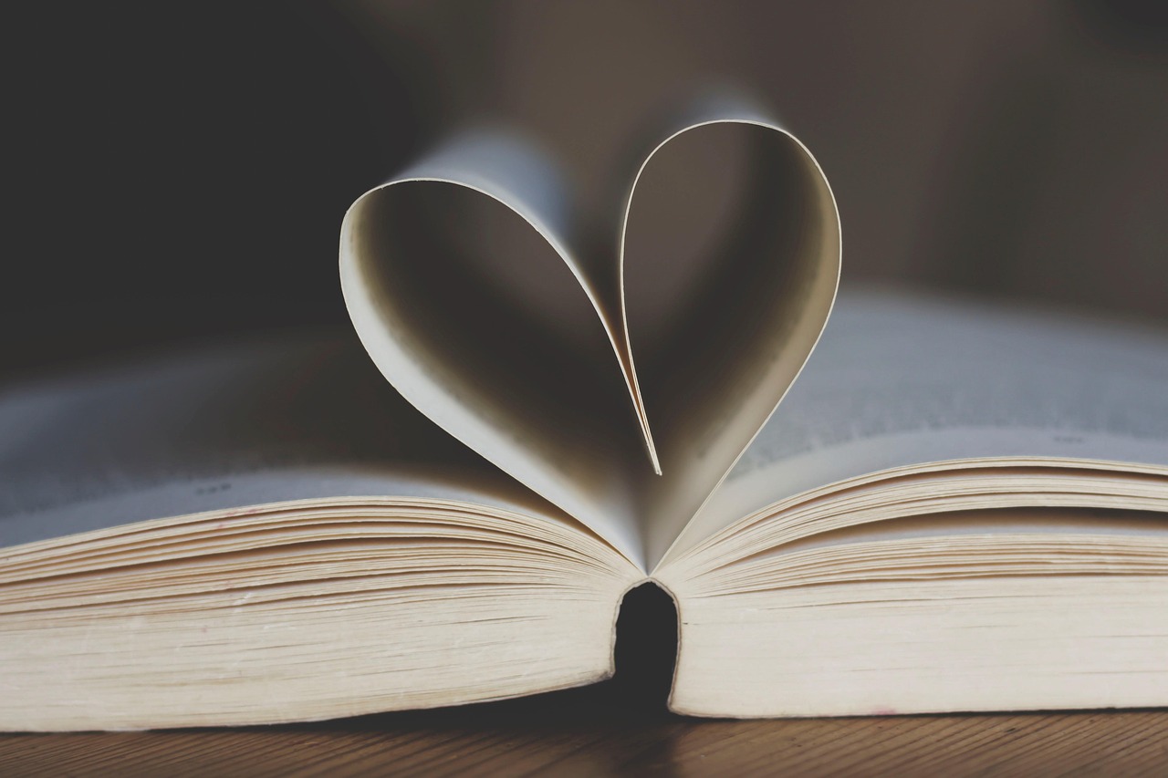 Alberta libraries scrambling to comply with Bill 28 book restrictions by January 1 deadline