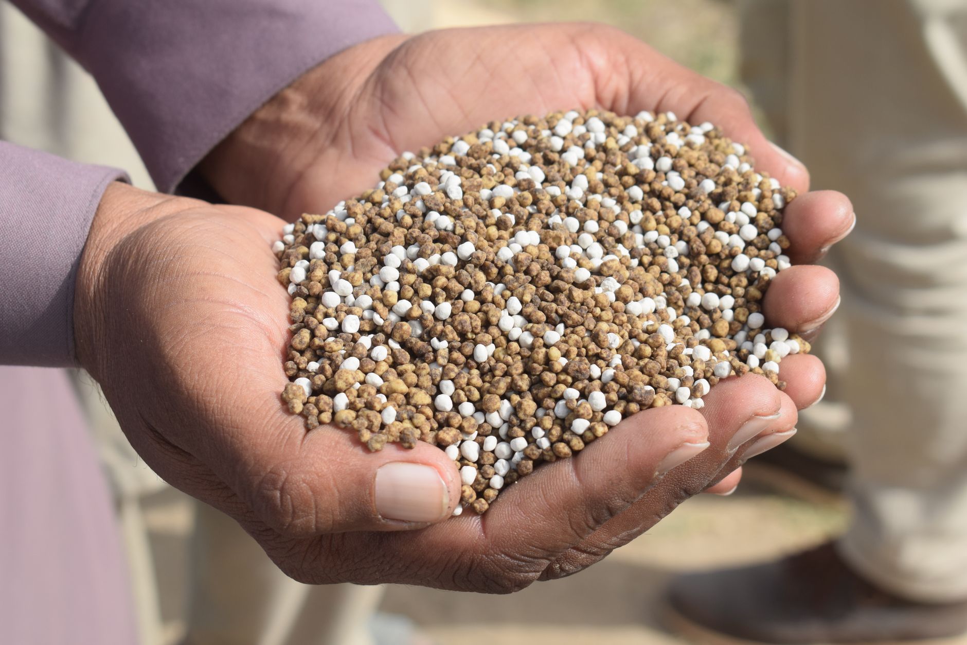 Lightning-inspired fertilizer could ease global supply crisis for Canadian farmers